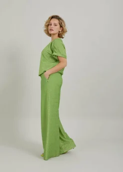 Shimmer Top With Gatherings At Sleeve