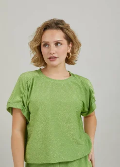 Shimmer Top With Gatherings At Sleeve