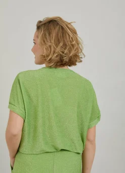 Shimmer Top With Gatherings At Sleeve
